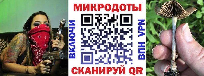 Галлюциногенные грибы Psilocybe магазин продажи blacksprut как войти Тутаев